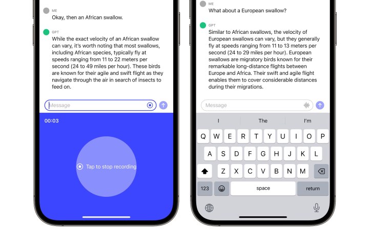 ChatGPT على iPhone يستخدم الدردشة الصوتية للاستفسار بشكل أكبر عن سرعة السنونو الأوروبي.